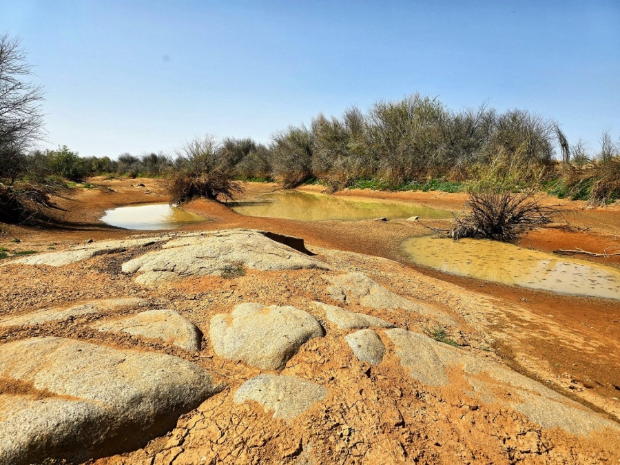 Commercial Property for Sale in Kenhardt Northern Cape